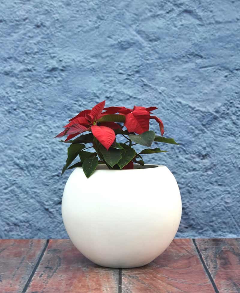 geometric-shape-sphere-planter-12-inch,-indoor-–-outdoor-fiber-planter-NjA=