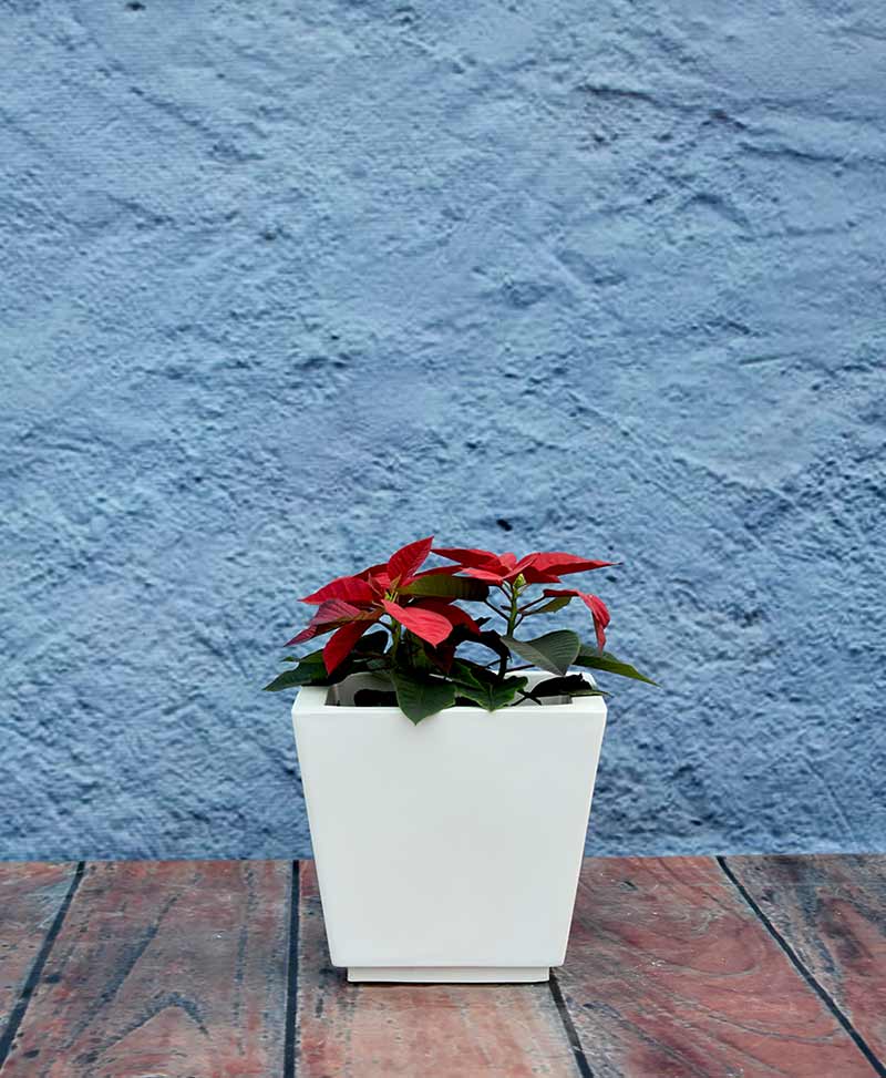 tapered-shape-raised-planter-18-inch---indoor-–-outdoor-fiber-planters-Nzc=