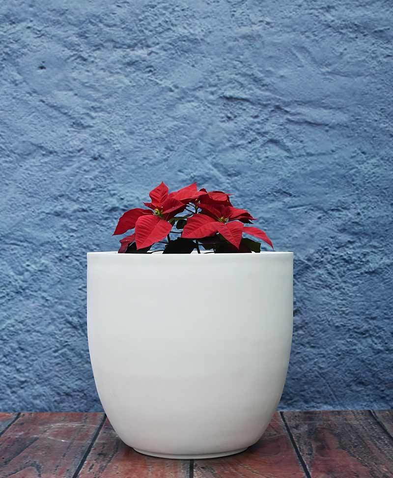 cup-shape-planter-16-inch---indoor-–-outdoor-fiber-planters-NjI=