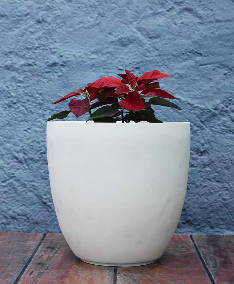 cup-shape-planter-20-inch---indoor-–-outdoor-fiber-planters-NjE=