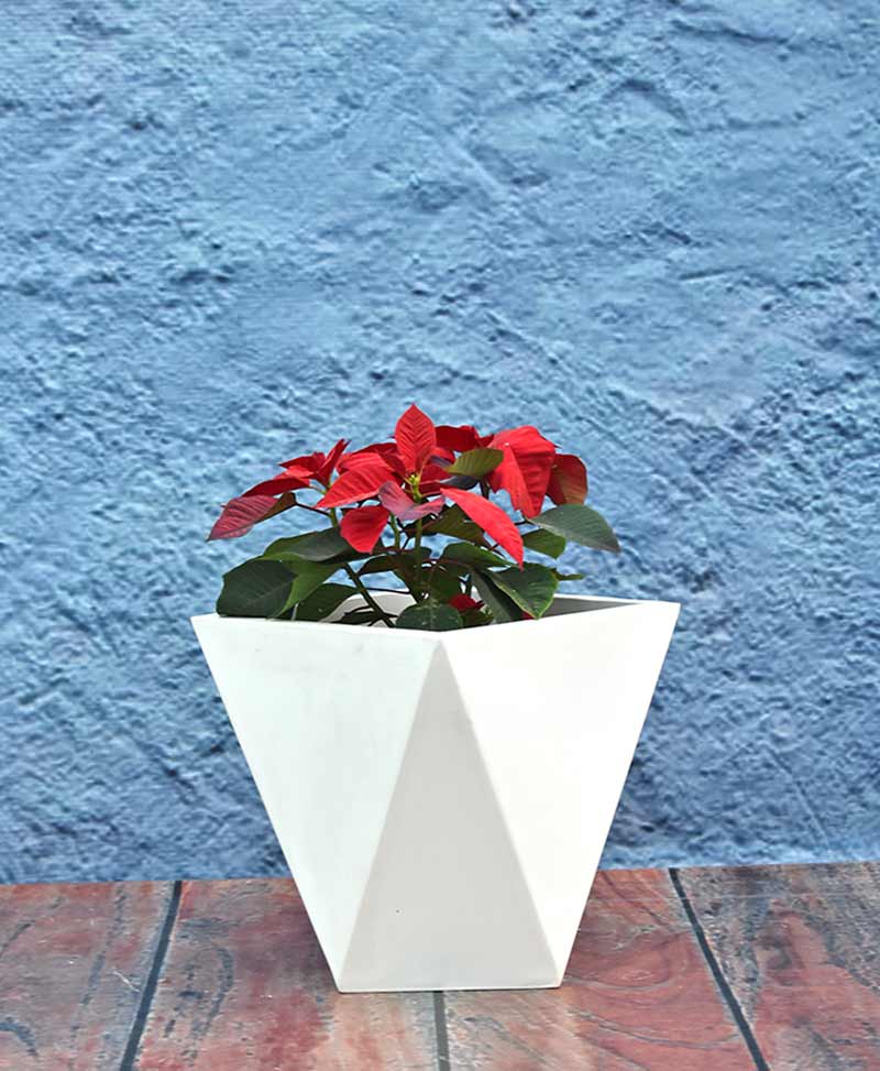 geometric-shape-fiber-diamond-planter-12-inch-NTQ=